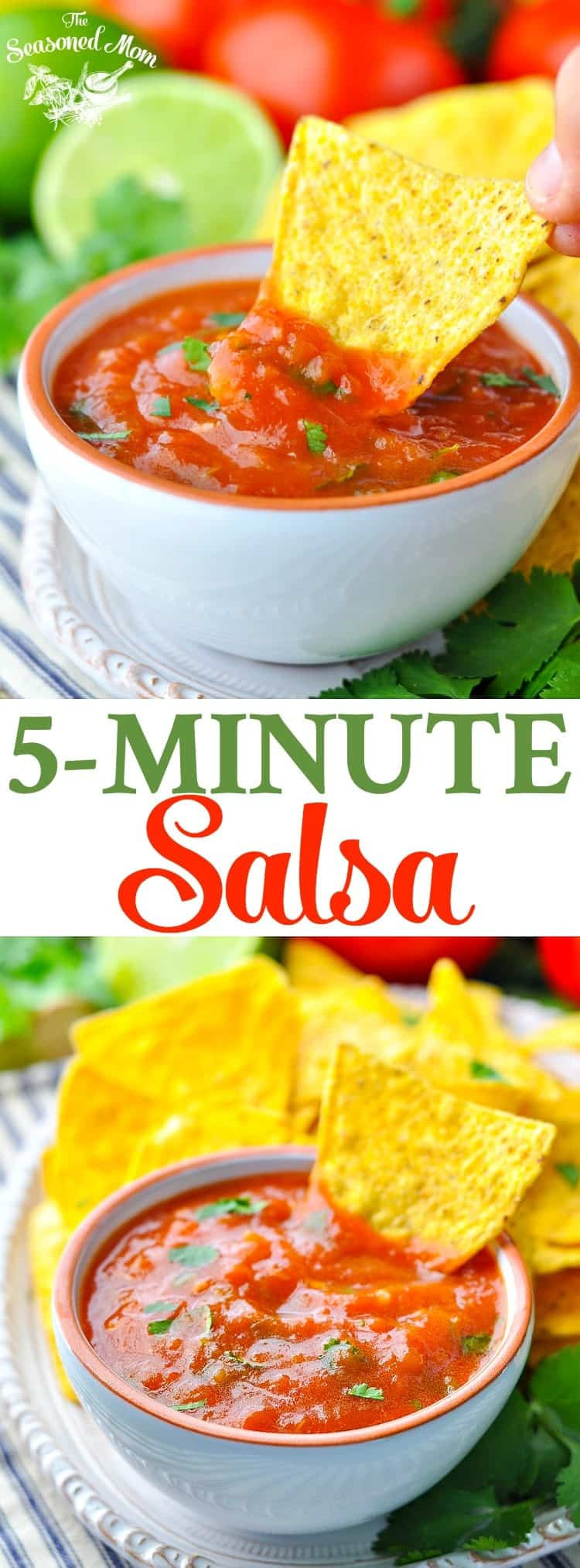 Easy Homemade Salsa Recipe
 Fresh 5 Minute Homemade Salsa The Seasoned Mom
