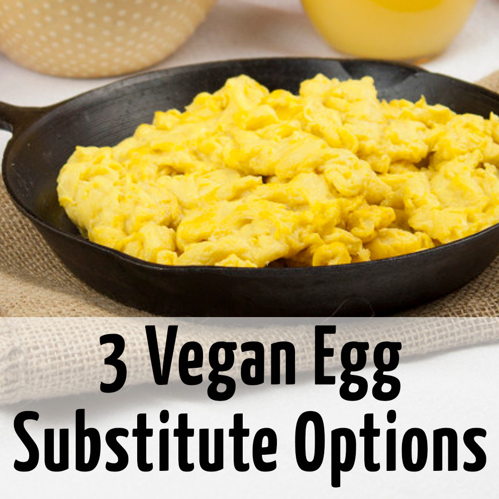 Alternative To Eggs For Breakfast
 Egg Replacer Recipe – Blog Dandk
