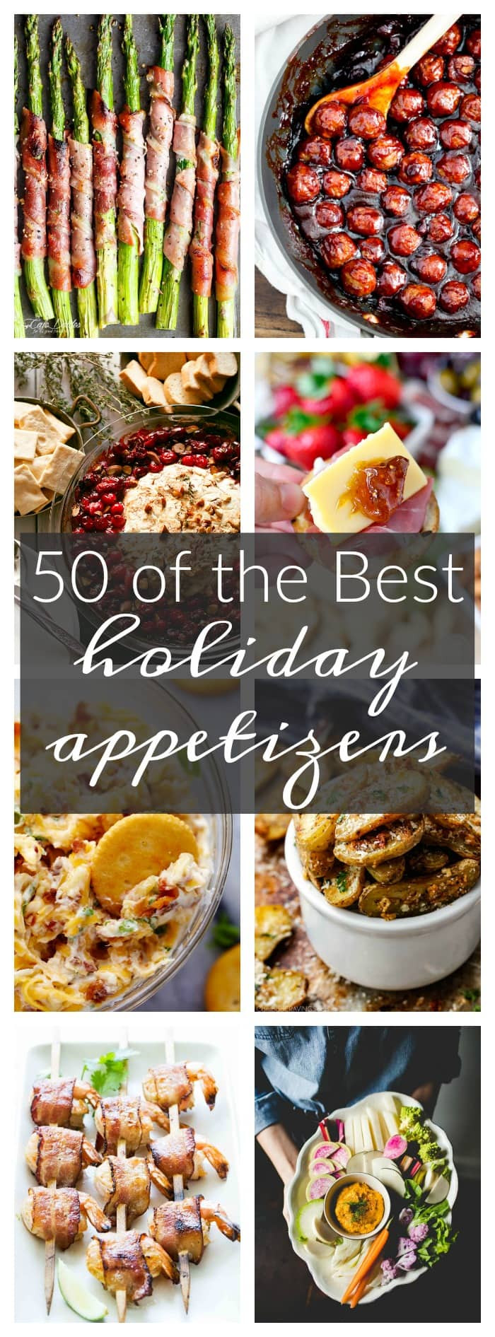 Appetizers For Christmas Party
 50 of the Best Appetizers for the Holidays A Dash of Sanity