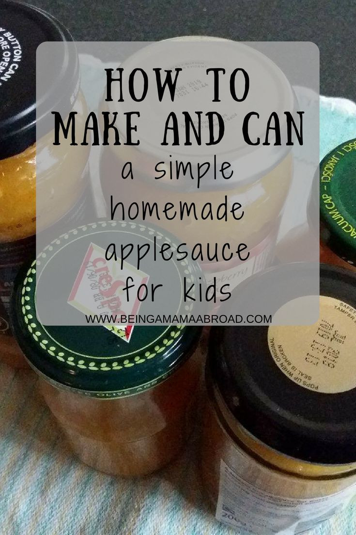 Applesauce For Kids
 Simple Homemade Applesauce For Kids Just Like Mama Used