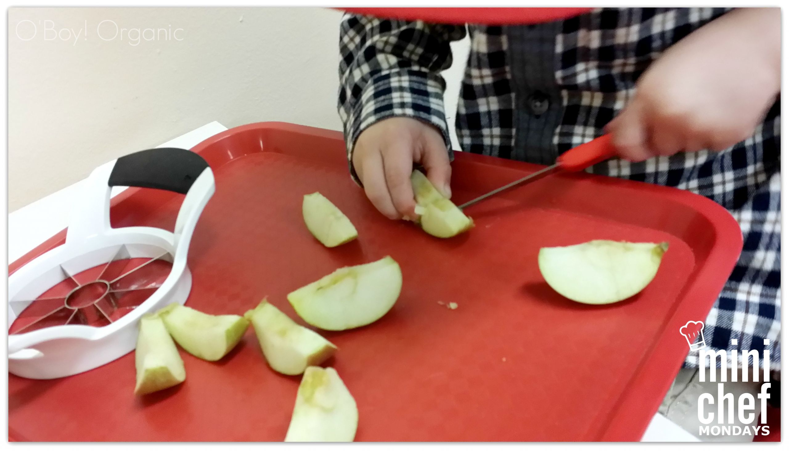 Applesauce For Kids
 Applesauce Making with Kids