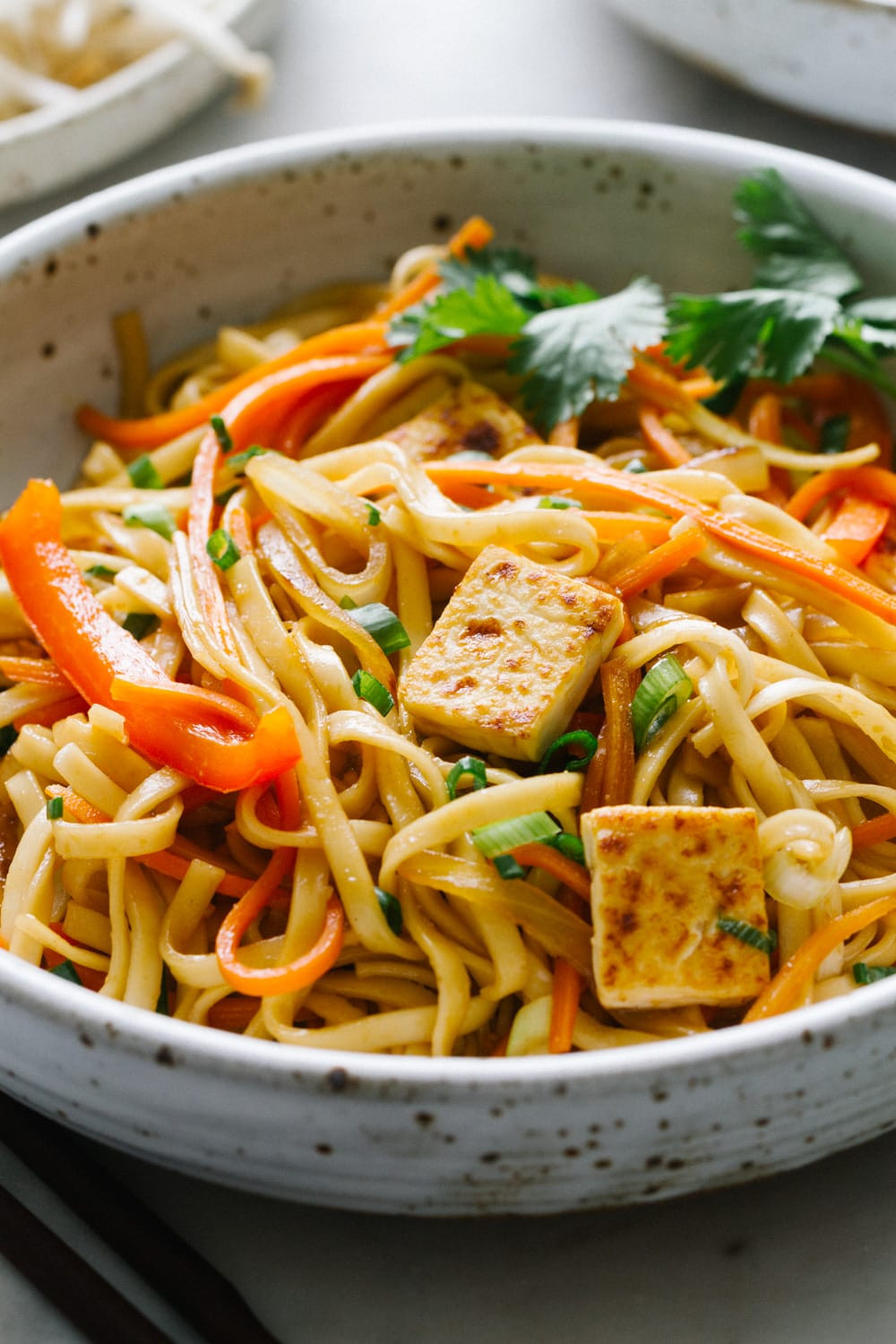 Are Lo Mein Noodles Vegan
 Ve able Lo Mein with Crispy Tofu