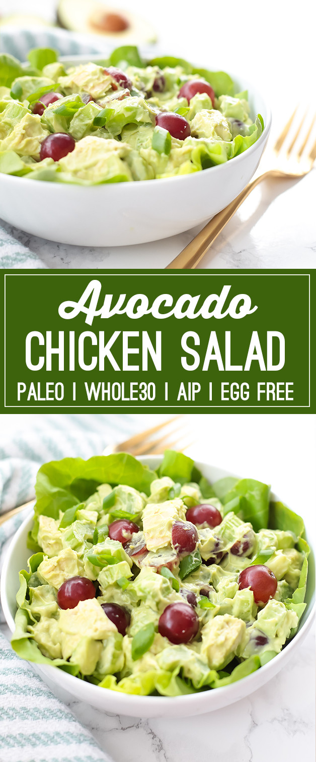Avocado Chicken Salad Paleo
 Paleo Avocado Chicken Salad Whole30 AIP Living Well Mom