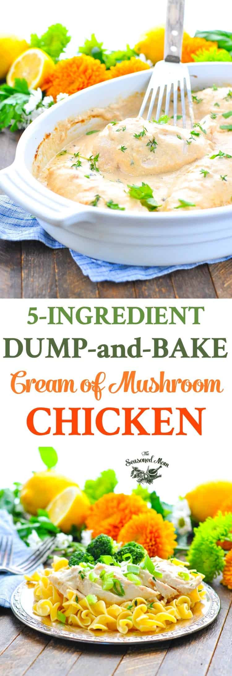 Baking Chicken Breast With Cream Of Mushroom Soup
 Dump and Bake Cream of Mushroom Chicken The Seasoned Mom