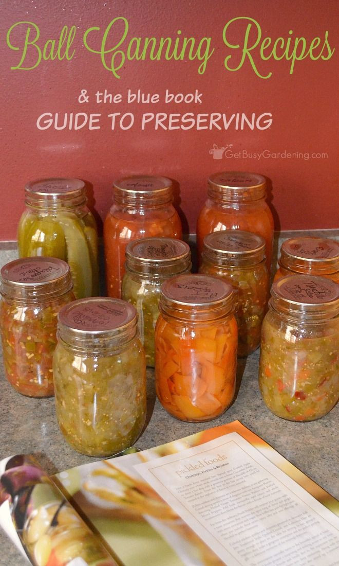 Balls Canning Salsa Recipe
 Ball Canning Recipes The Book Canning And Preserving