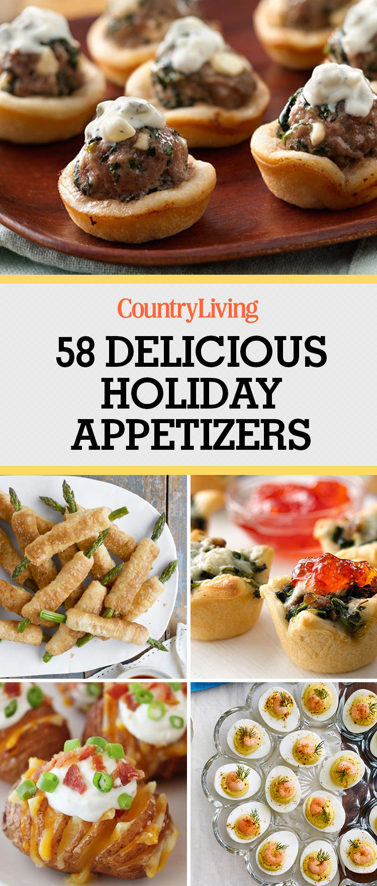 Best Appetizers For Christmas Party
 60 Easy Thanksgiving and Christmas Appetizer Recipes