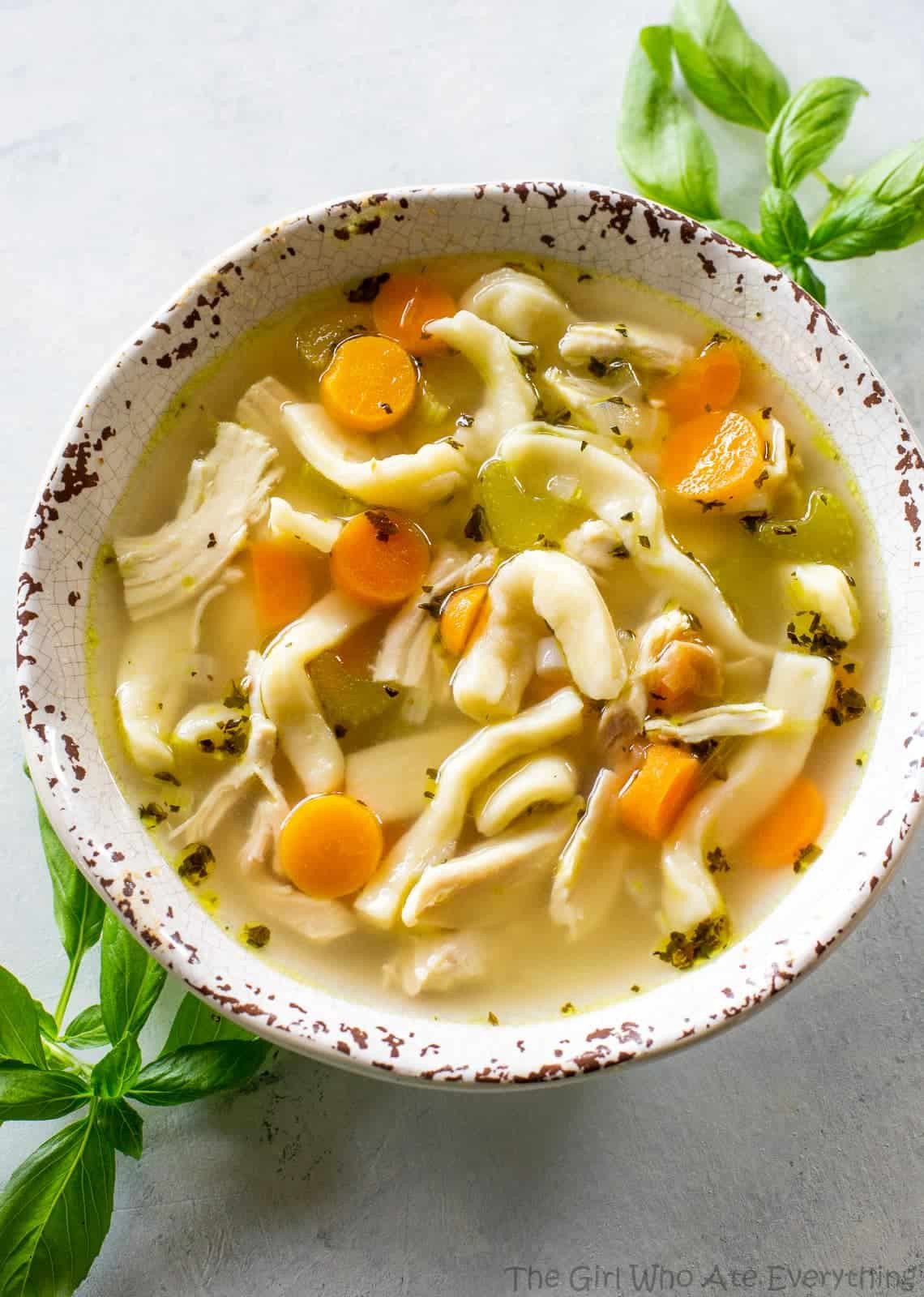 Best Chicken Noodle Soup Recipe
 Homemade Chicken Noodle Soup The Girl Who Ate Everything