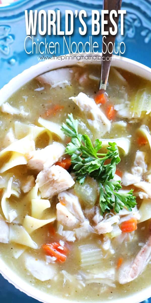 Best Chicken Noodle Soup Recipe
 The World s BEST Homemade Chicken Noodle Soup Recipe Flu
