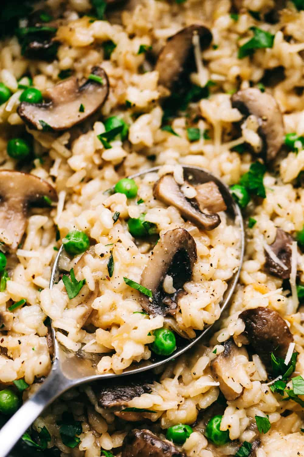 Best Mushroom Risotto Recipe
 How to Make the BEST Mushroom Risotto