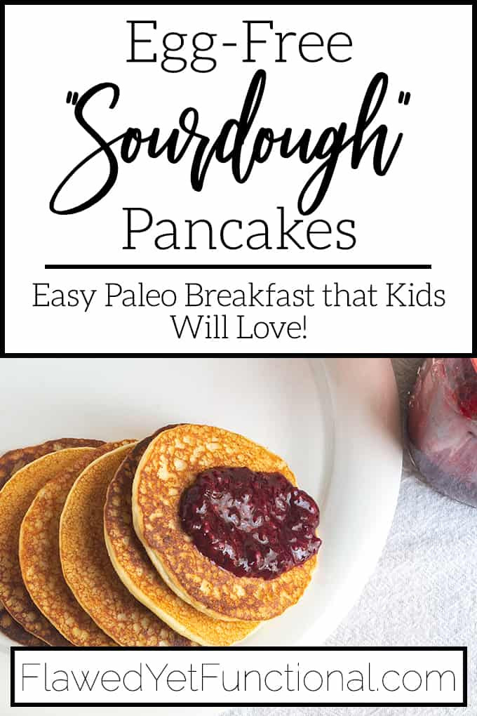 Best Paleo Pancakes
 Best Egg Free Paleo Pancakes B Flawed yet Functional