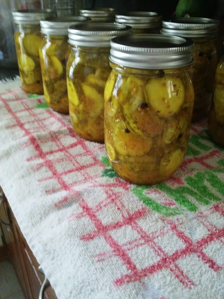 Bread And Butter Pickles Recipe No Canning
 Canning and Cooking Iowa Style Bread and Butter Pickles