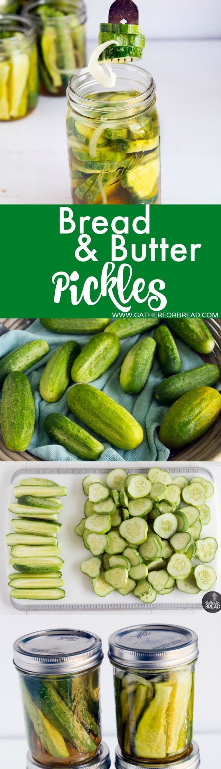 Bread And Butter Pickles Recipe No Canning
 How to Make Bread and Butter Refrigerator Pickles No