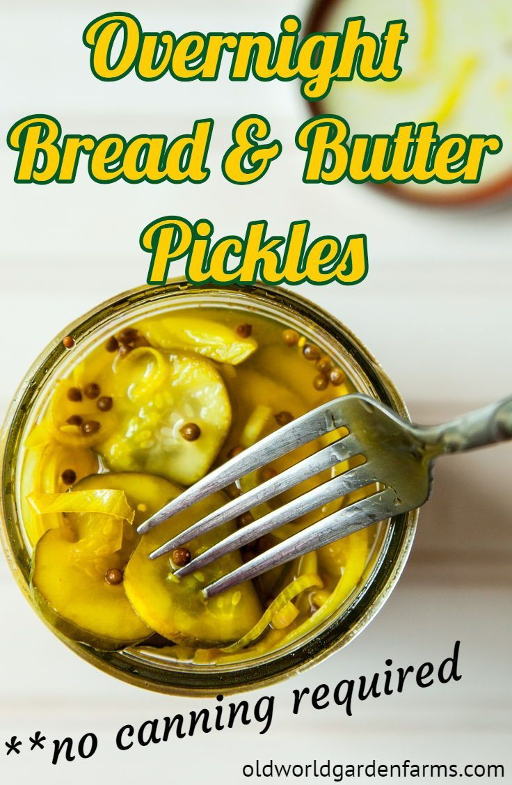 Bread And Butter Pickles Recipe No Canning
 Sweet and delicious Overnight Bread & Butter Pickles No