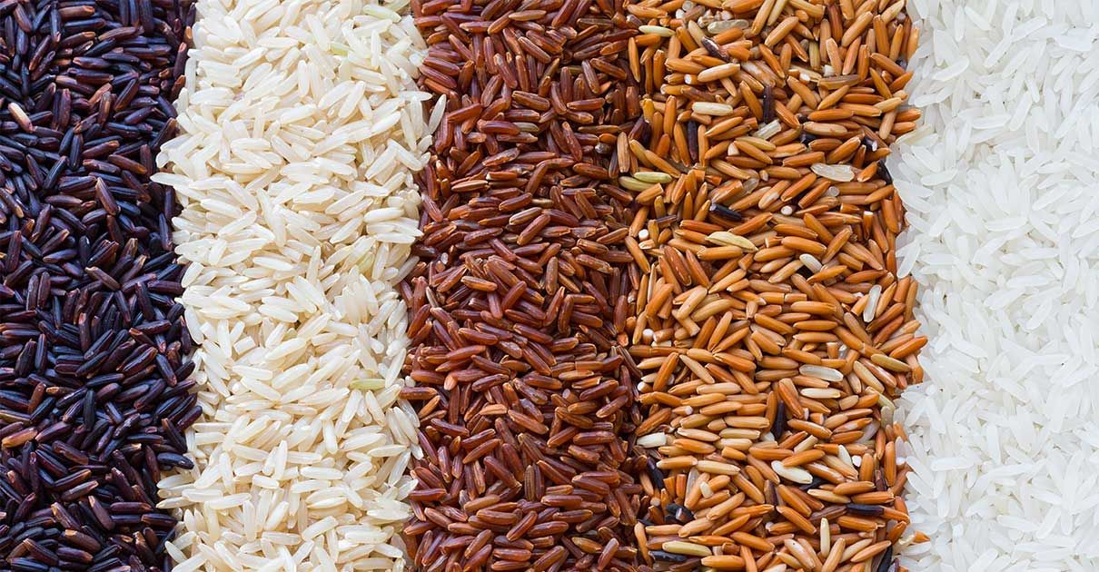 Brown Rice Paleo
 Is Rice Paleo Brown Rice vs White Rice