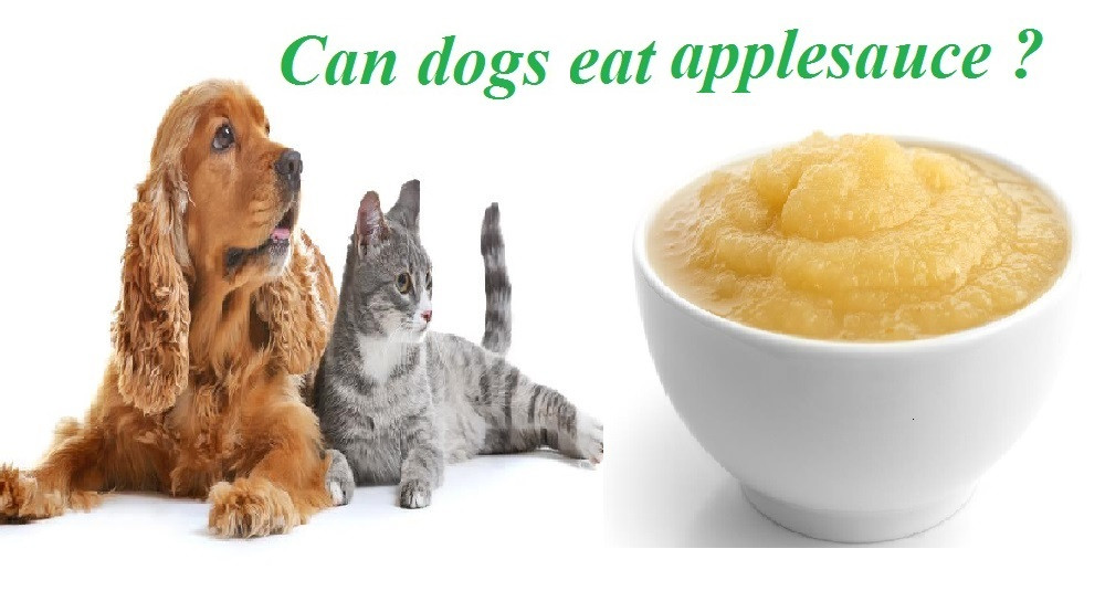 Can Dogs Eat Applesauce
 Can Dogs Eat Applesauce Safely Every day Dog Carion