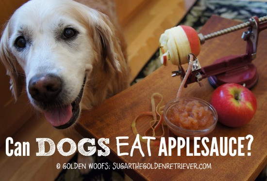 Can Dogs Eat Applesauce
 Make Your Own Dog Safe Applesauce Golden Woofs