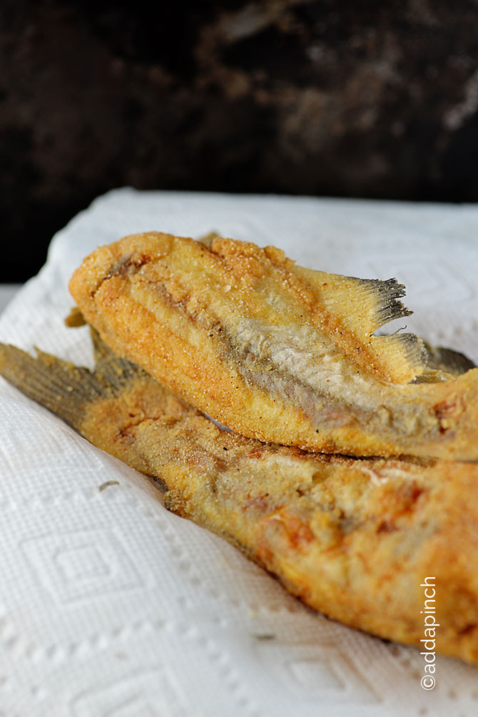Cat Fish Recipes
 Southern Fried Catfish Recipe Add a Pinch