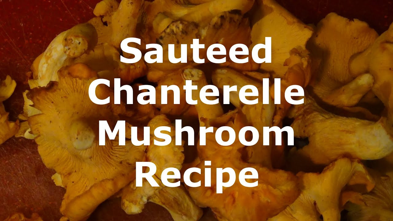 Chanterelle Mushrooms Recipe
 Sauteed Chanterelle Mushroom Recipe