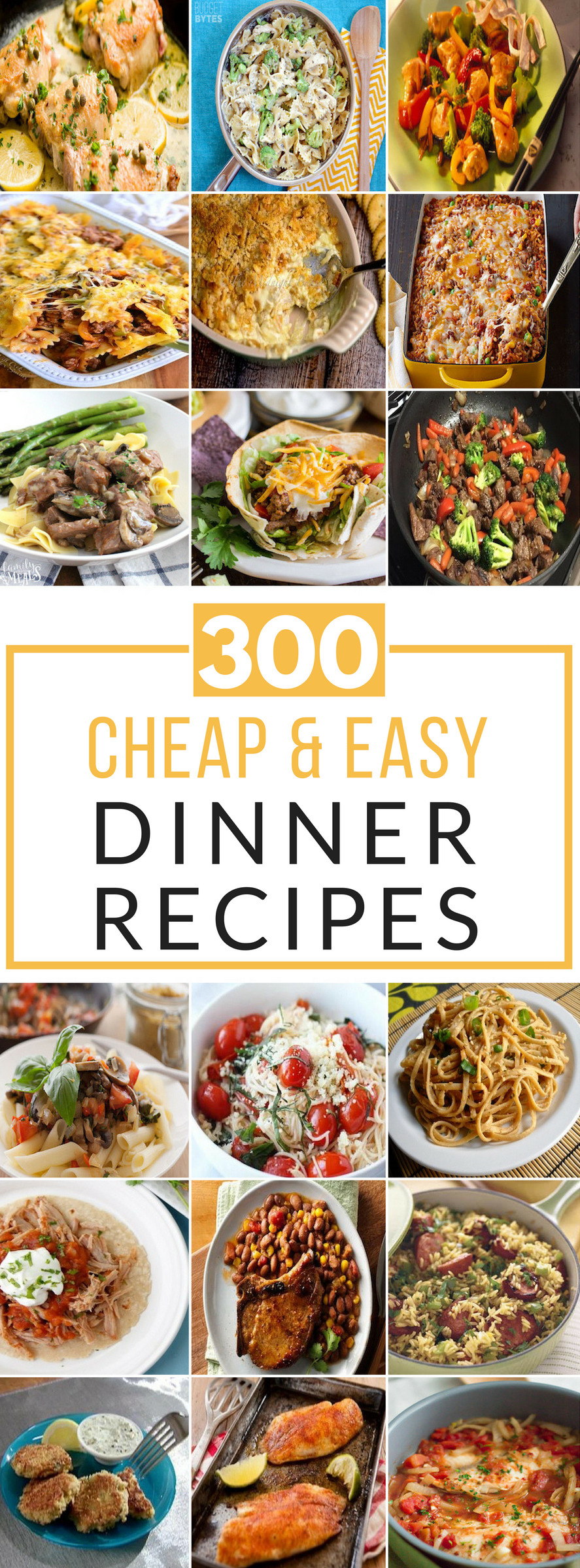 Cheap Dinner Recipes
 300 Cheap and Easy Dinner Recipes Prudent Penny Pincher