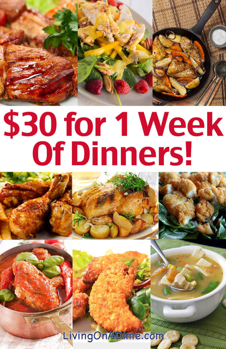 Cheap Dinner Recipes
 Cheap Family Dinner Ideas $30 for 1 Week of Dinners