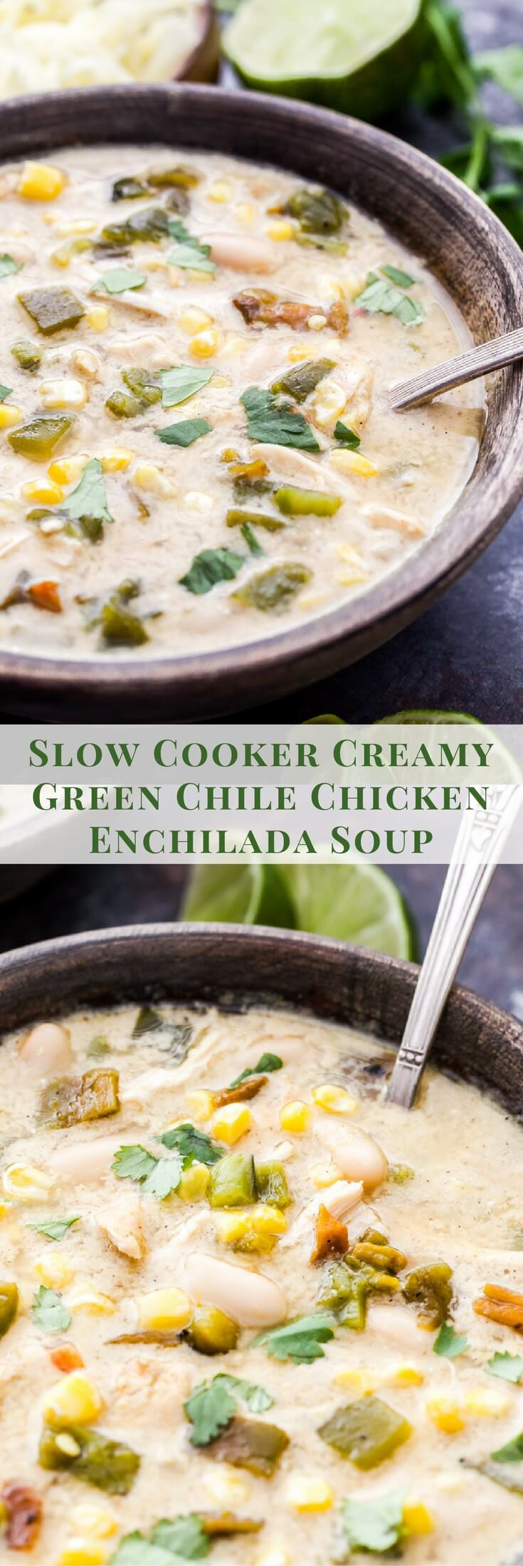 Chicken Enchiladas With Cream Of Chicken Soup
 Slow Cooker Creamy Green Chile Chicken Enchilada Soup