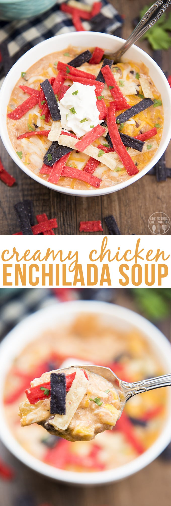 Chicken Enchiladas With Cream Of Chicken Soup
 Creamy Chicken Enchilada Soup – Like Mother Like Daughter