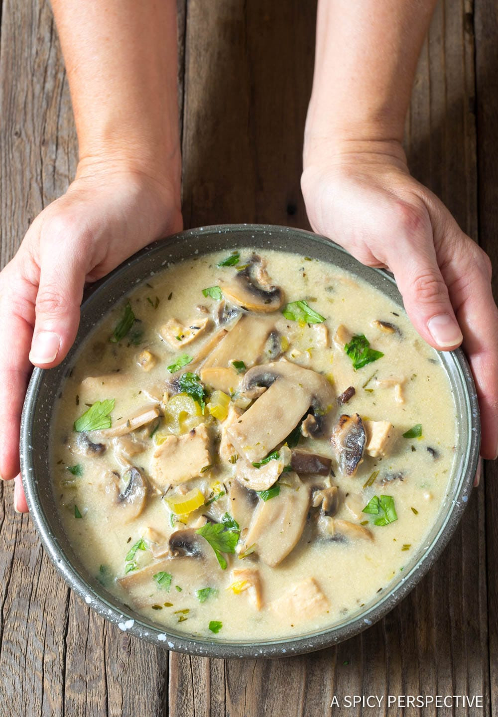 Chicken In Cream Of Mushroom Soup
 Low Carb Chicken Mushroom Soup Video A Spicy Perspective
