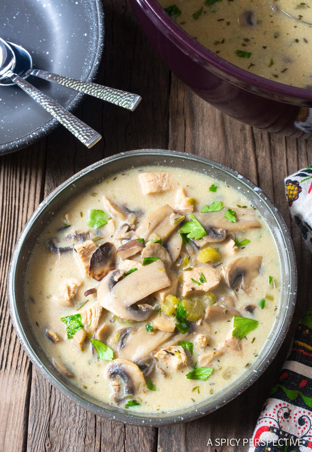 Chicken In Cream Of Mushroom Soup
 Low Carb Creamy Chicken Mushroom Soup Video A Spicy