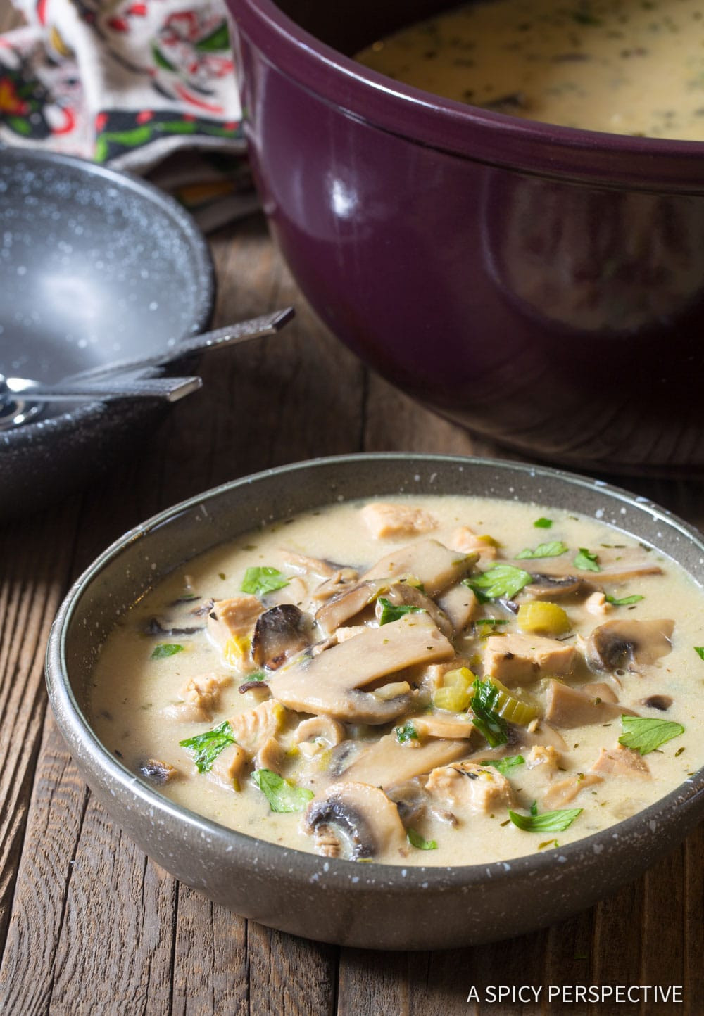 Chicken In Cream Of Mushroom Soup
 Low Carb Creamy Chicken Mushroom Soup Video A Spicy