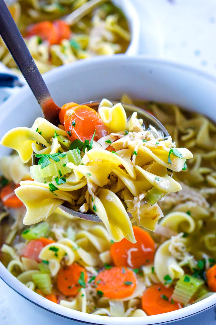 Chicken Soup From Scratch
 Rotisserie Chicken Noodle Soup • Food Folks and Fun