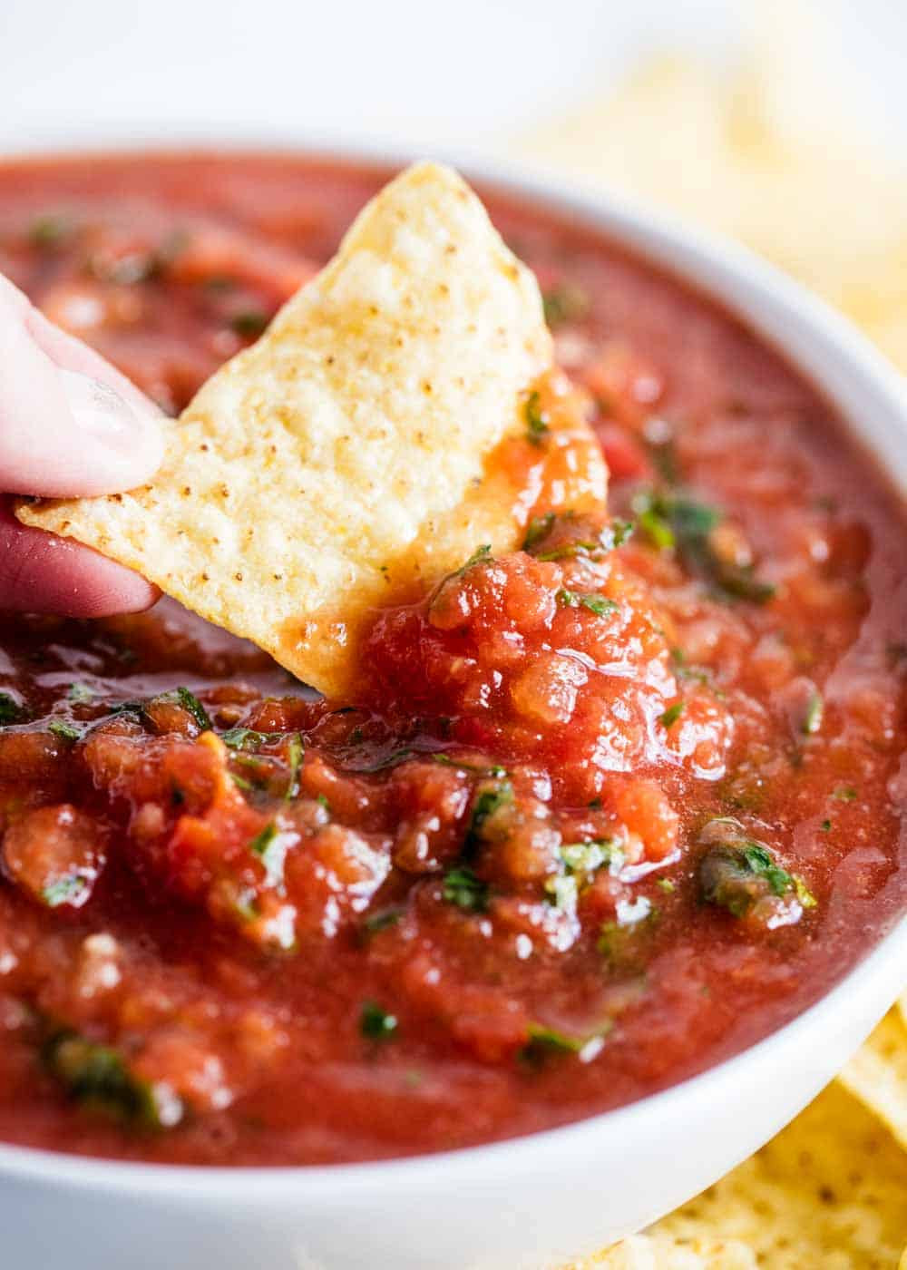 Chips And Salsa Recipe
 BEST Restaurant Style Salsa made in the blender I