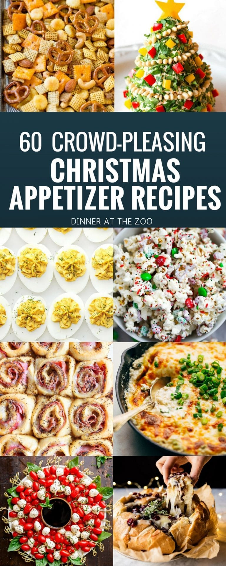 Christmas Dinner Appetizers
 60 Christmas Appetizer Recipes Dinner at the Zoo