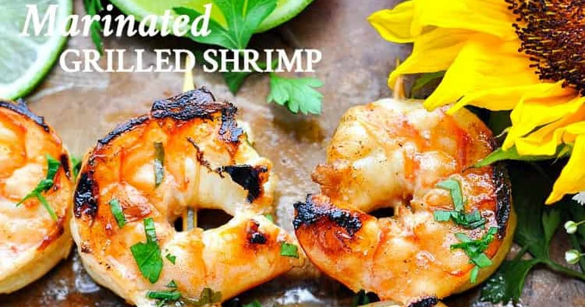 Cold Marinated Shrimp Appetizer
 Marinated Shrimp Appetizer Recipes