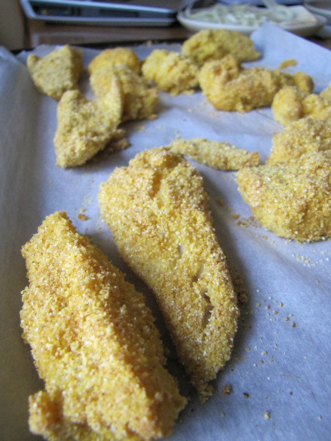 25 Of the Best Ideas for Cornmeal Crusted Fish - Best Recipes Ideas and ...