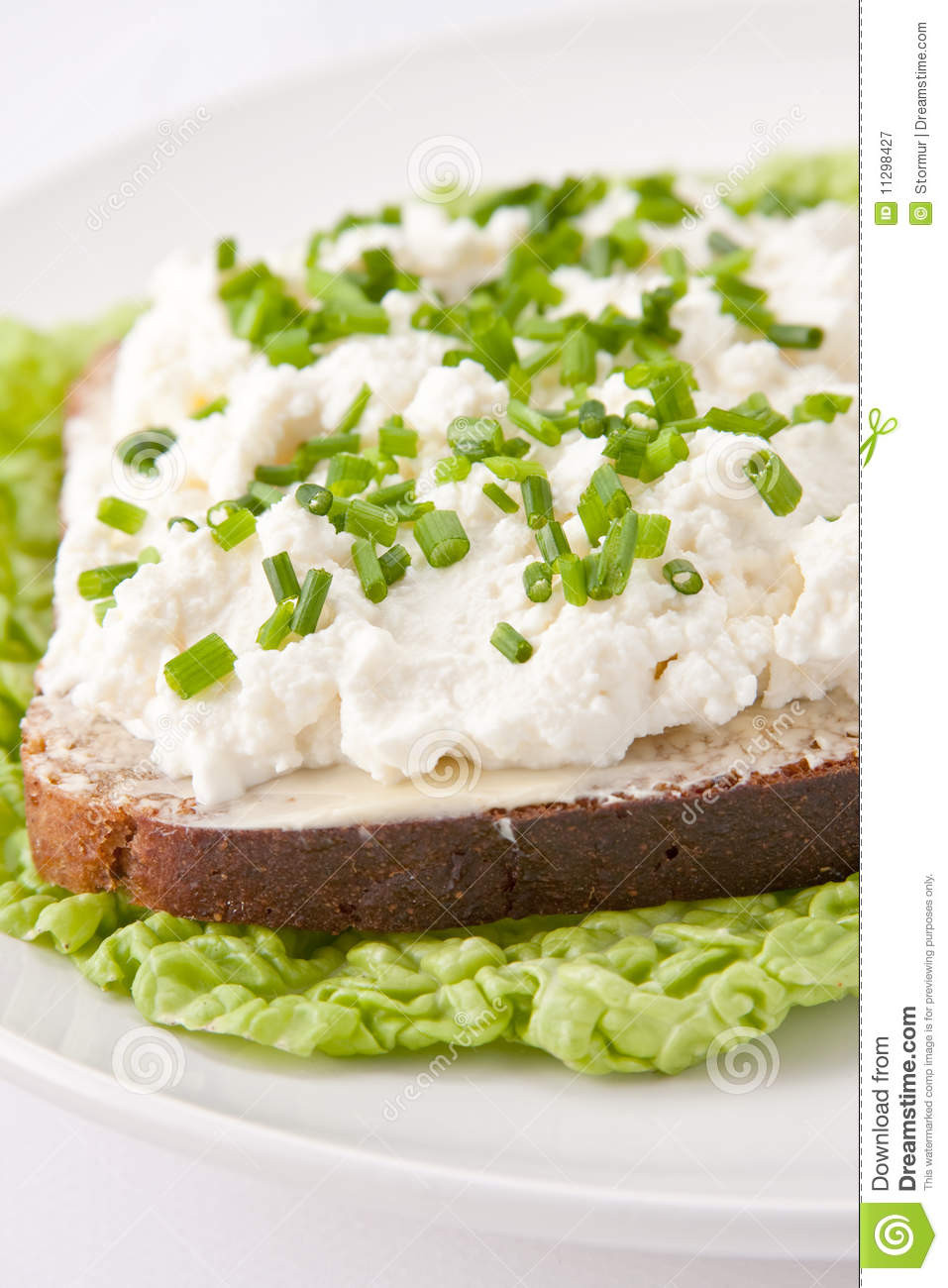Cottage Cheese Sandwiches
 Cottage Cheese Sandwich Royalty Free Stock graphy