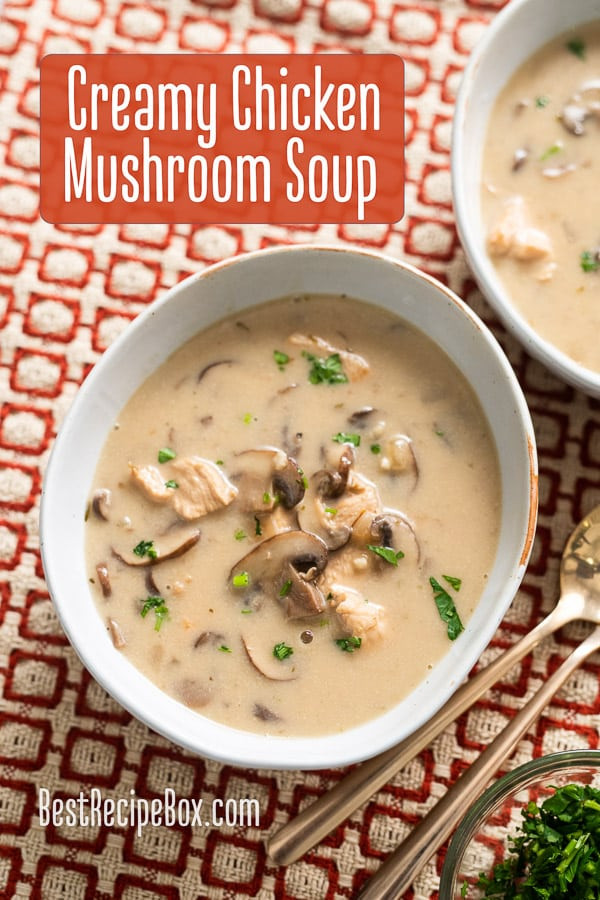 Cream Of Mushroom Soup Chicken Recipe
 Creamy Chicken Mushroom Soup Recipe Easy Quick