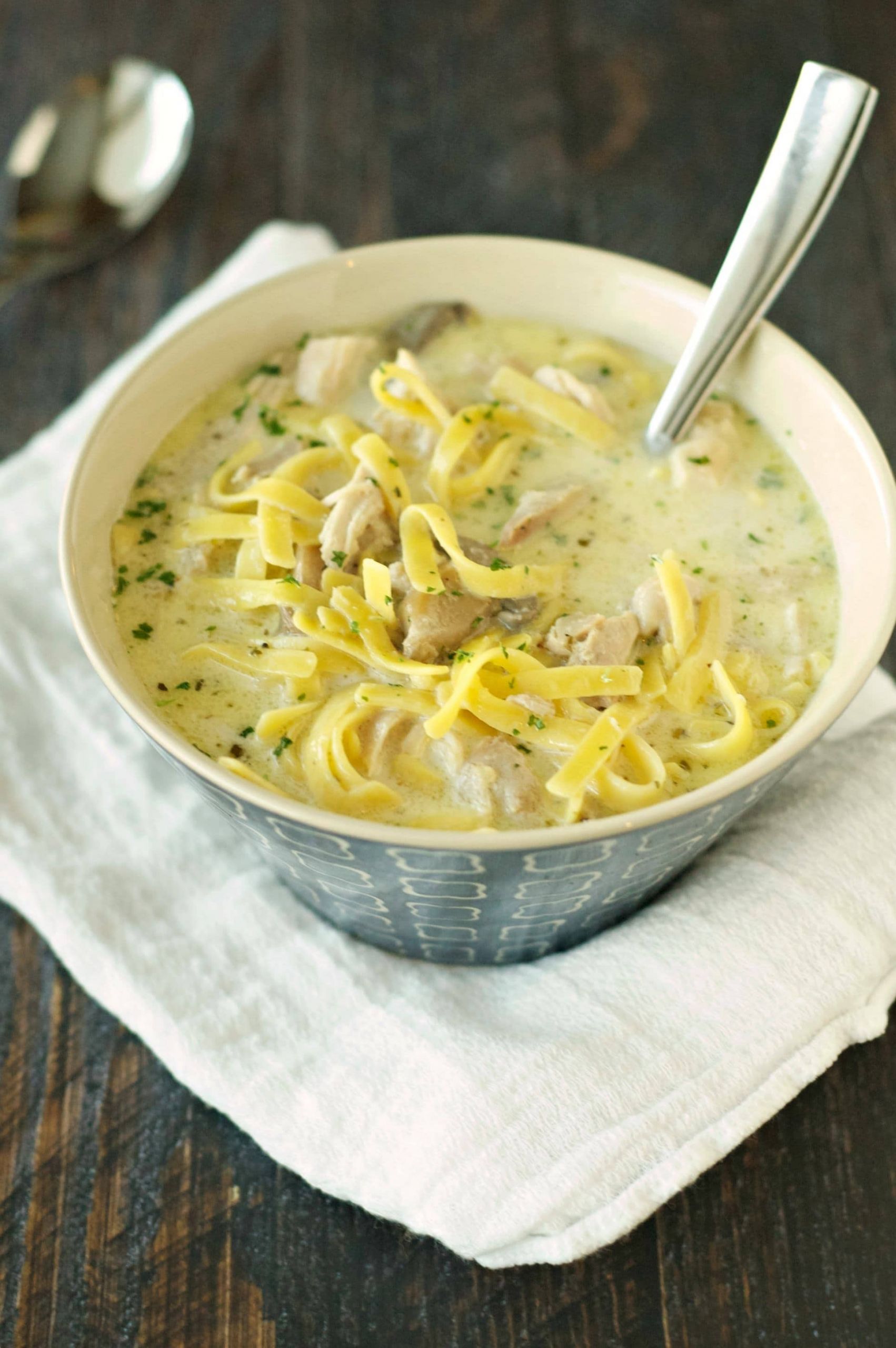 Creamy Chicken And Egg Noodles
 Slow Cooker Creamy Chicken Noodle Soup Slow Cooker Gourmet