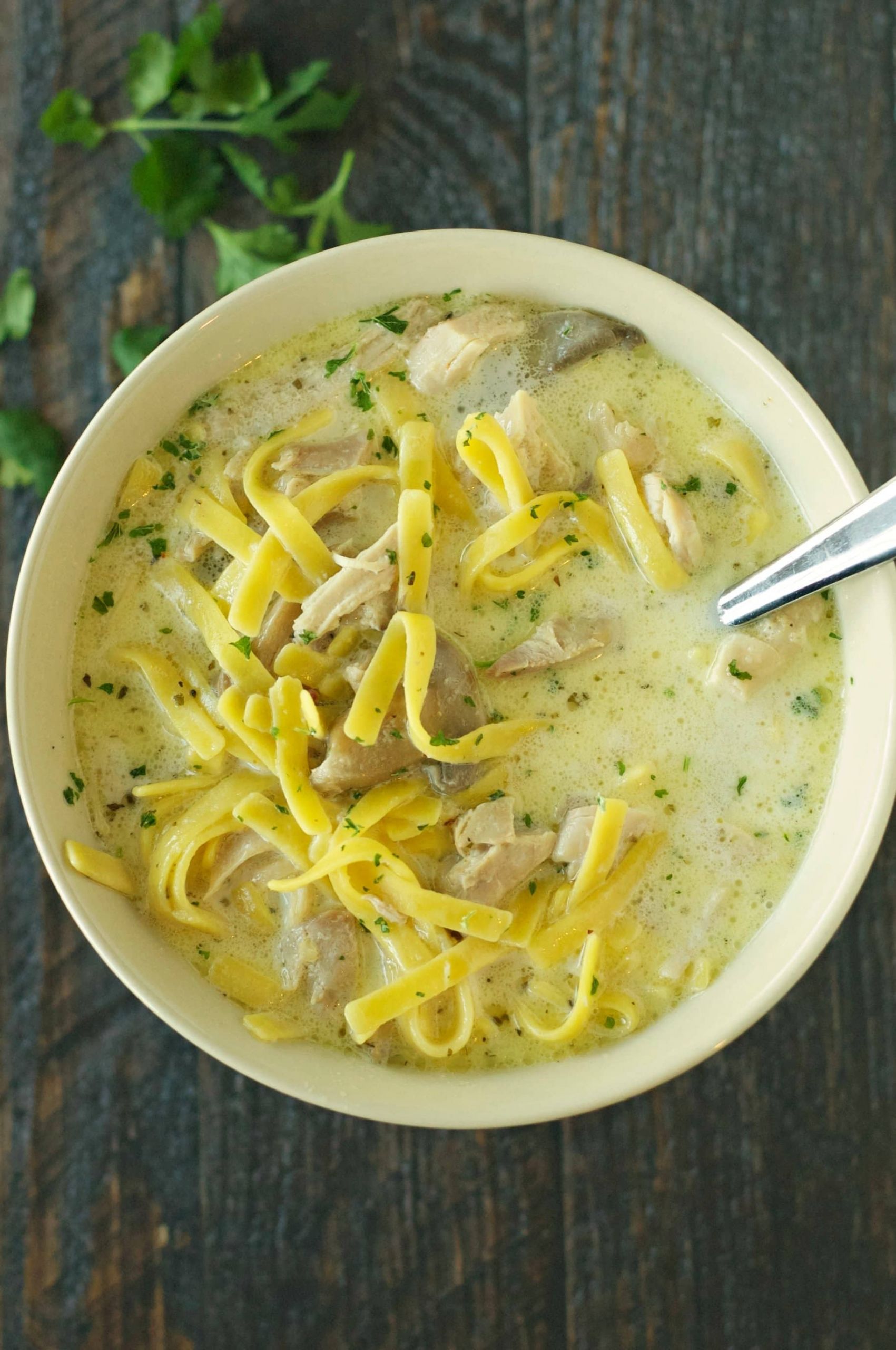 Creamy Egg Noodles
 Slow Cooker Creamy Chicken Noodle Soup Slow Cooker Gourmet