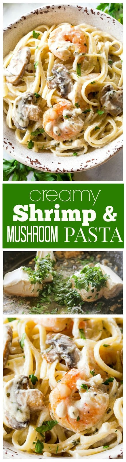 Creamy Shrimp And Mushroom Pasta
 Creamy Shrimp and Mushroom Pasta Recipe Cucina de Yung