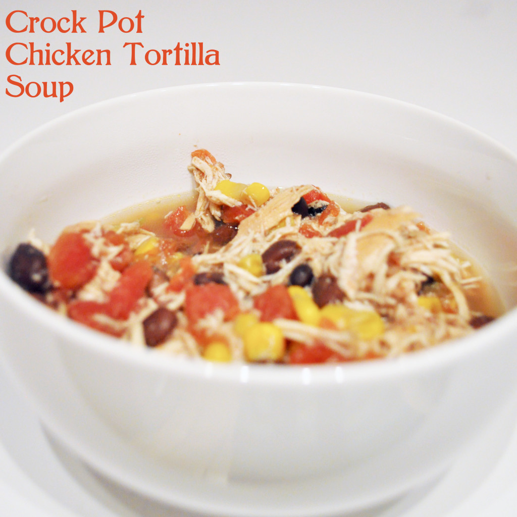 Crock Pot Chicken Tortilla Soup
 How to make Crock Pot Chicken Tortilla Soup The Love Nerds