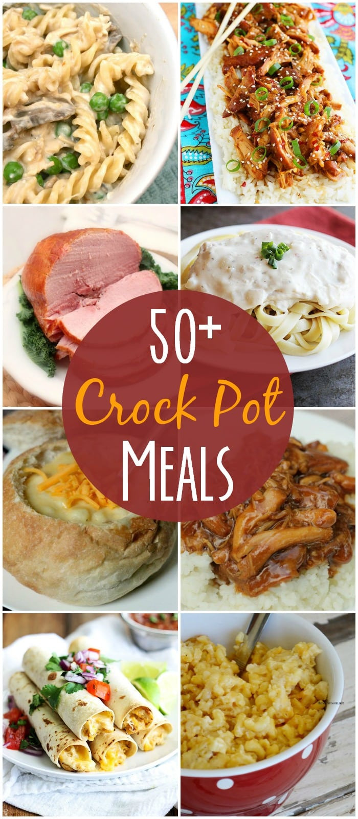 Crock Pot Dinner Ideas
 Crock Pot Meals