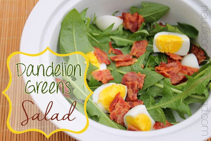 Dandelion Greens Salad
 Dandelion Greens Salad • New Life A Homestead