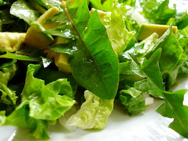 Dandelion Greens Salad
 Raw on $10 a Day or Less Dandelion Green Salad