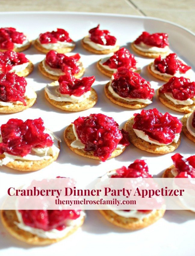Dinner Party Appetizer
 Cranberry Dinner Party Appetizer & Last Minute Shopping