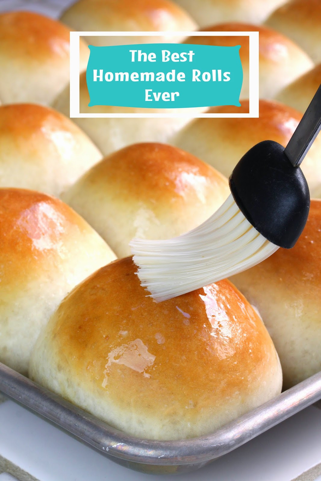 Dinner Roll Recipes
 dinner rolls from scratch no yeast