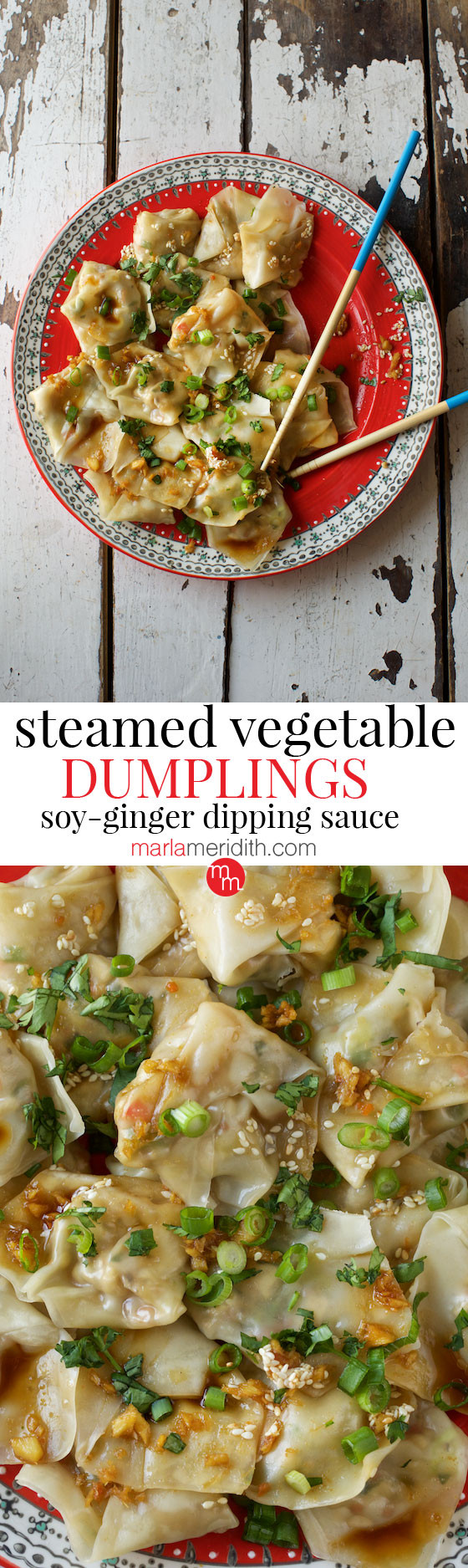 Dipping Sauce For Steamed Dumplings
 Steamed Ve able Dumplings with Ginger Soy Dipping Sauce