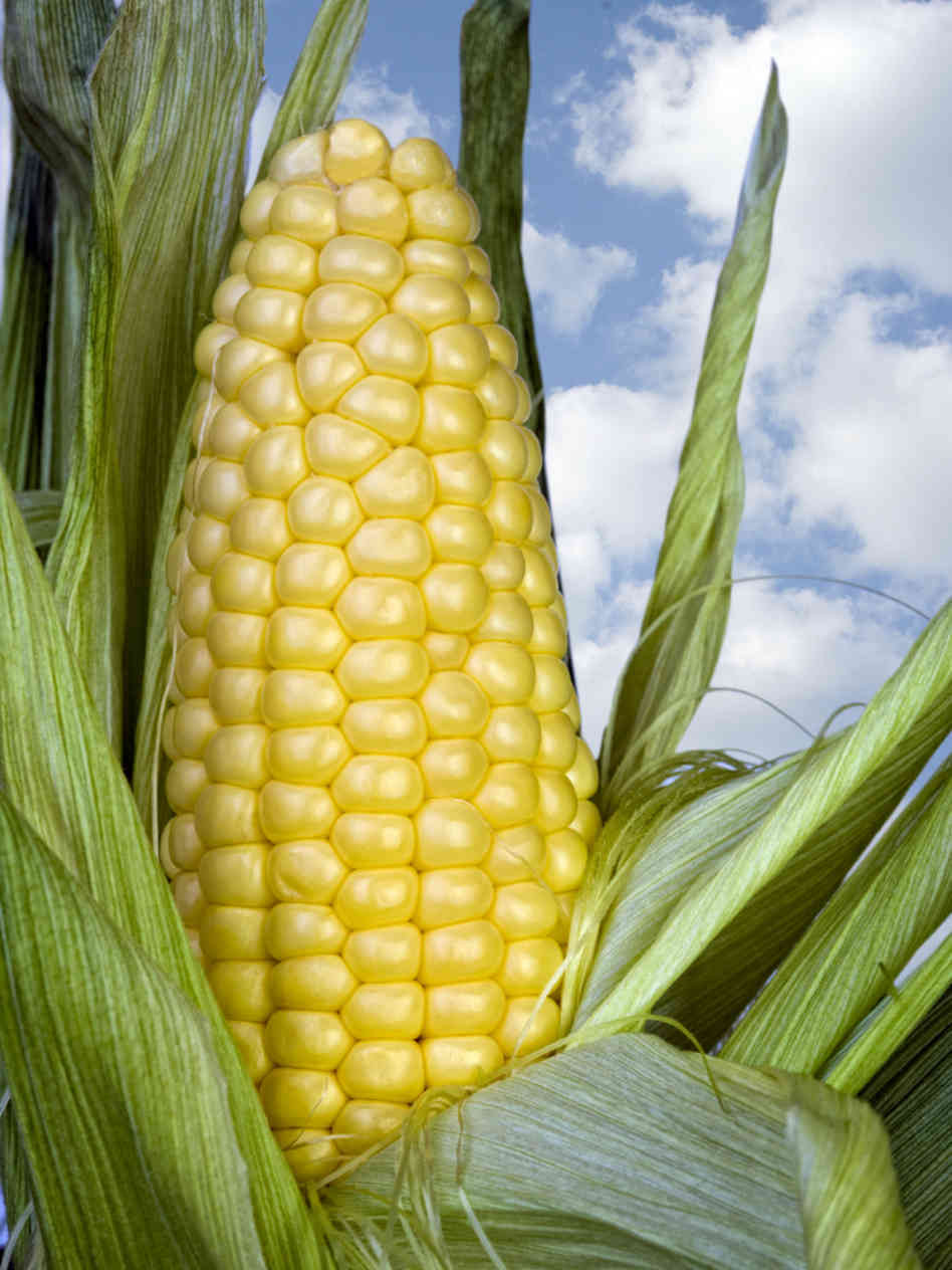 Does Corn Have Fiber
 Fiber Why Eat It Healthy Essentials with KathyHealthy