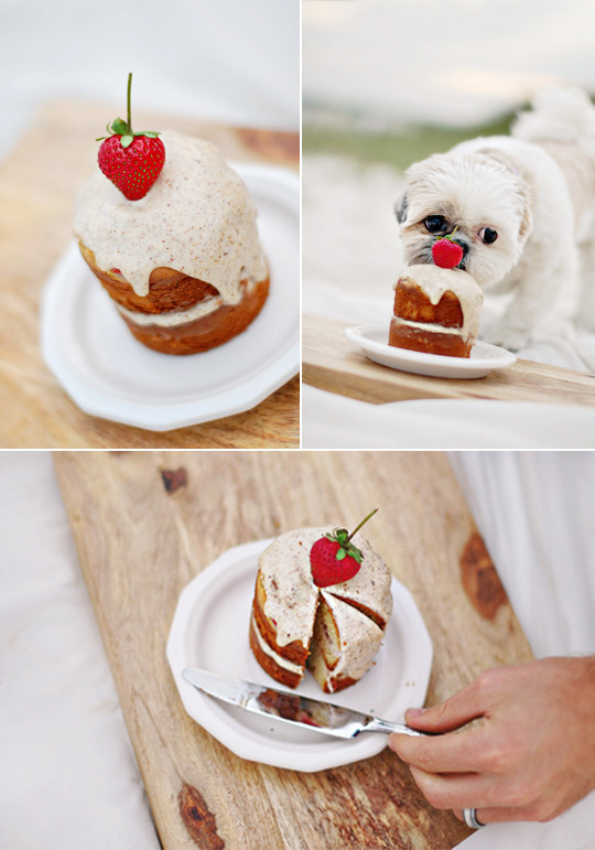 Dog Birthday Cake Recipes Easy
 The Best Dog Birthday Cake Recipe Coco’s Birthday