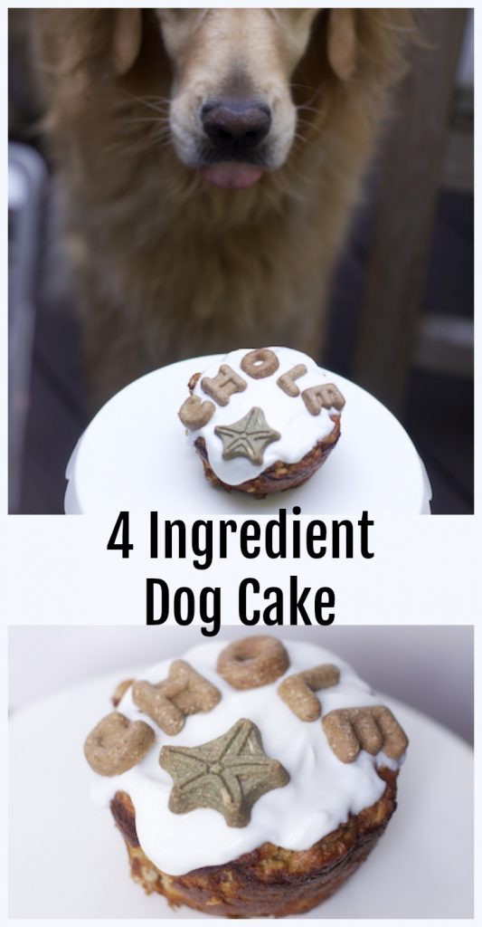 Dog Birthday Cake Recipes Easy
 The Easiest Dog Birthday Cake Recipe for a Dog Birthday