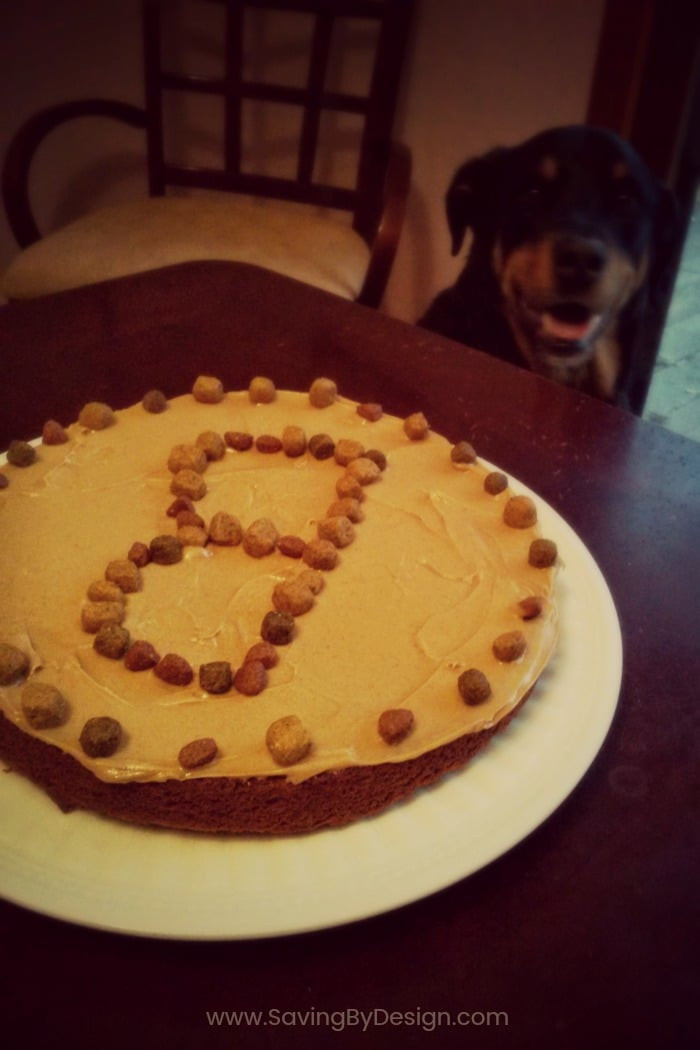 Dog Birthday Cake Recipes Easy
 Dog Birthday Cake Recipe A Special Treat for Your Dog s